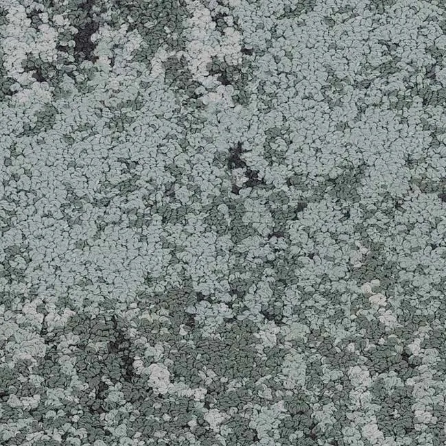 35327 Mint - 5T235 (haven)