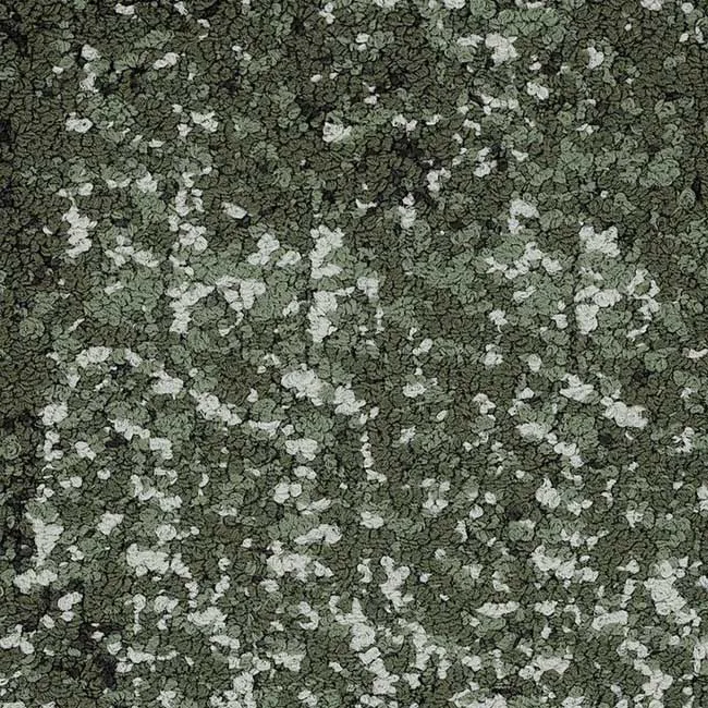 35375 Ivy - 5T235 (haven)