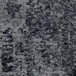 35505 Raven - 5T235 (haven)