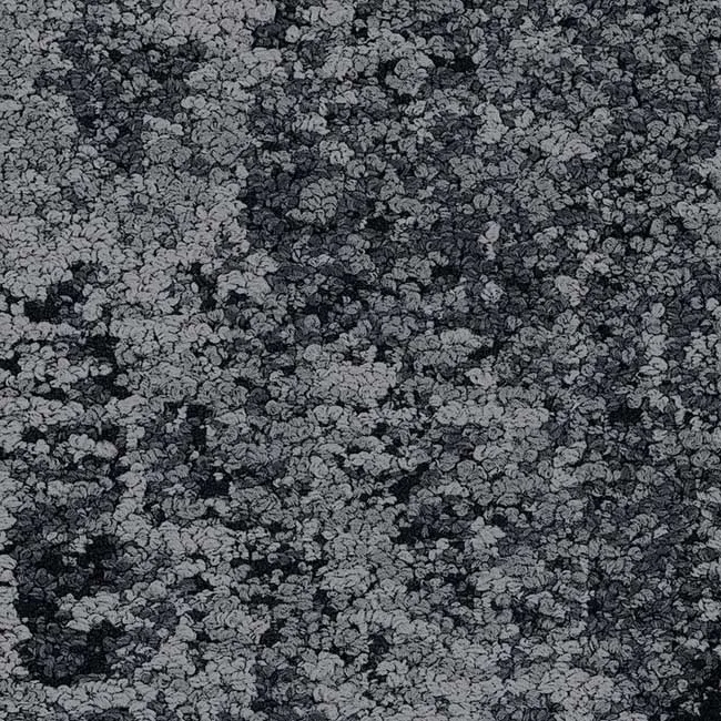 35505 Raven - 5T235 (haven)