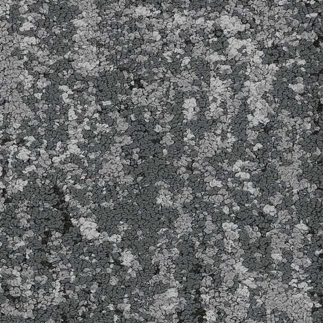 35535 Rainstorm - 5T235 (haven)