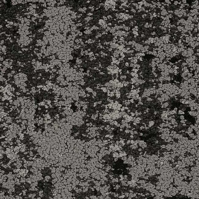 35585 Espresso - 5T235 (haven)