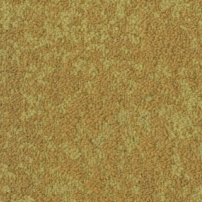 5T305_05225