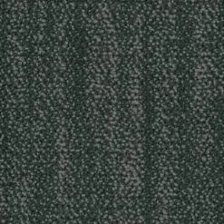 5T320_01580