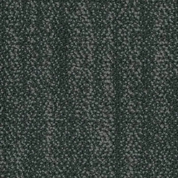 5T320_01580