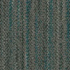 5T321_01556