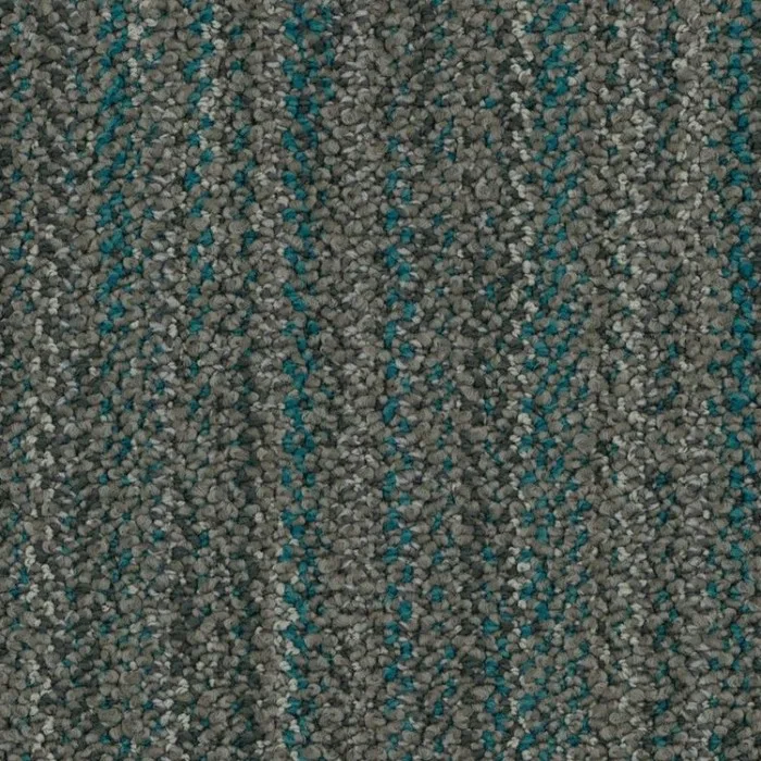 5T321_01556