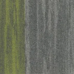 5T173_72482