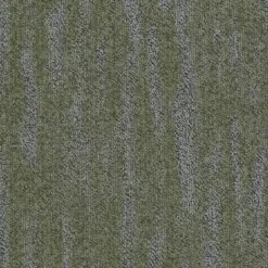 5T265_48370