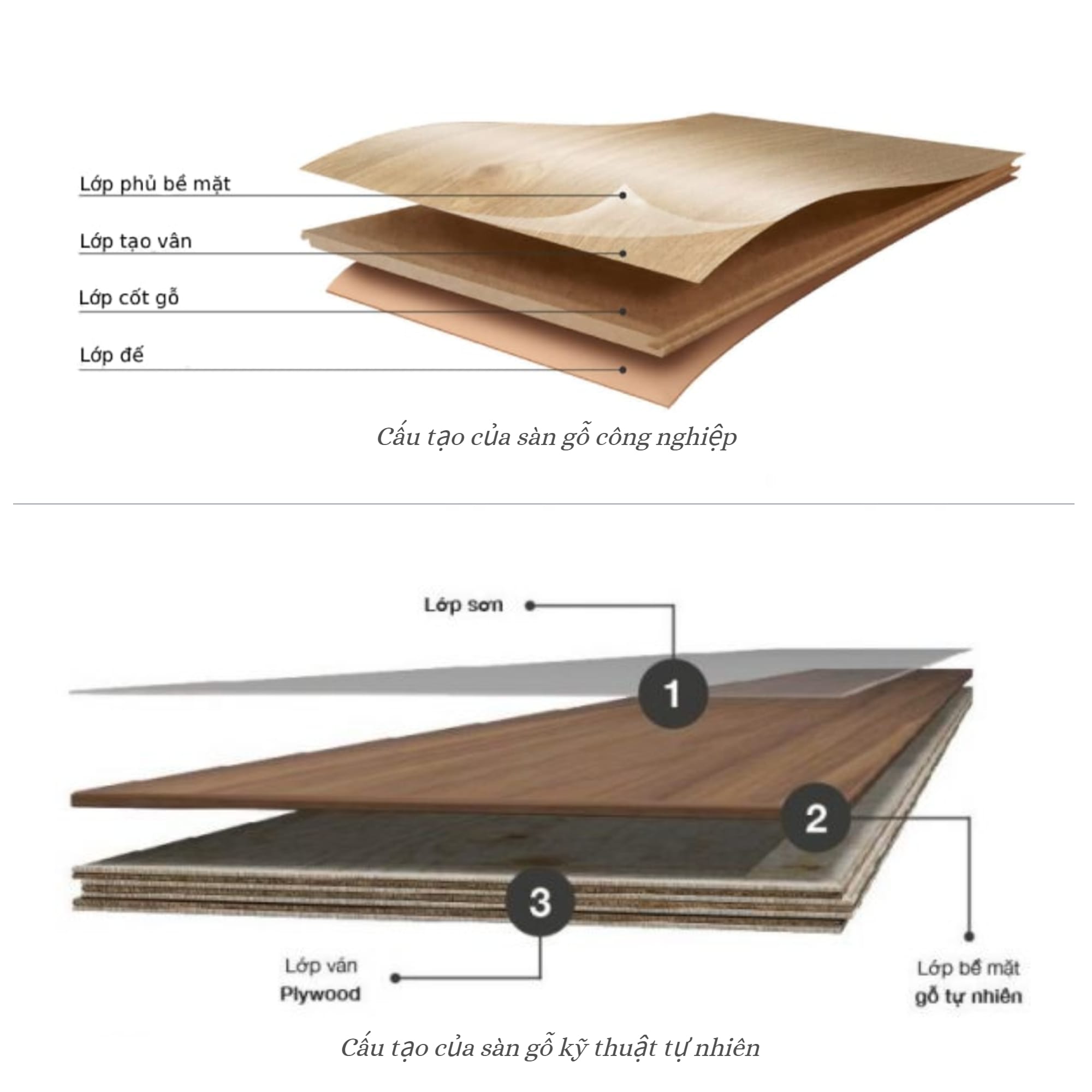 So sánh cấu tạo sàn gỗ công nghiệp và sàn gỗ kỹ thuật
