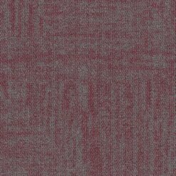 Thảm Shaw cho văn phòng 5T689_62850