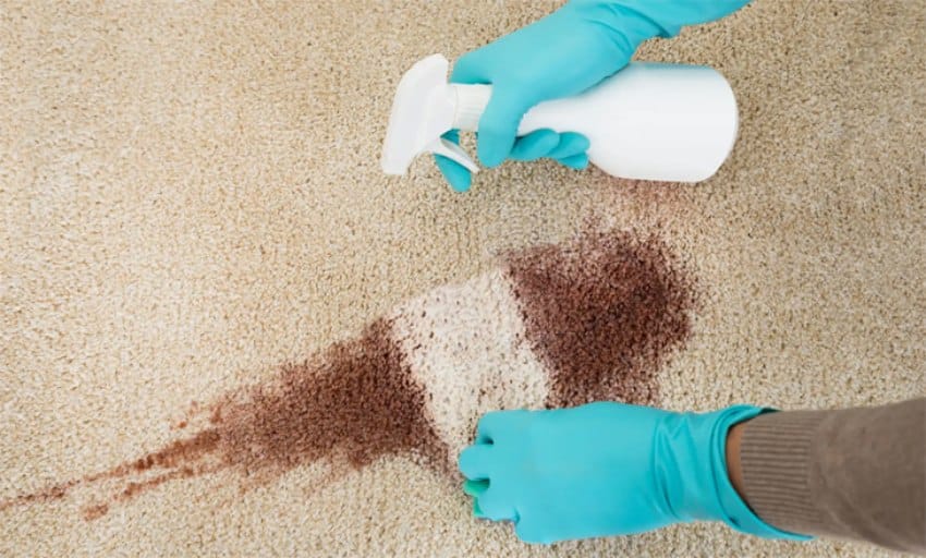 Các cách tẩy vết bẩn trên thảm hiệu quả, dễ làm